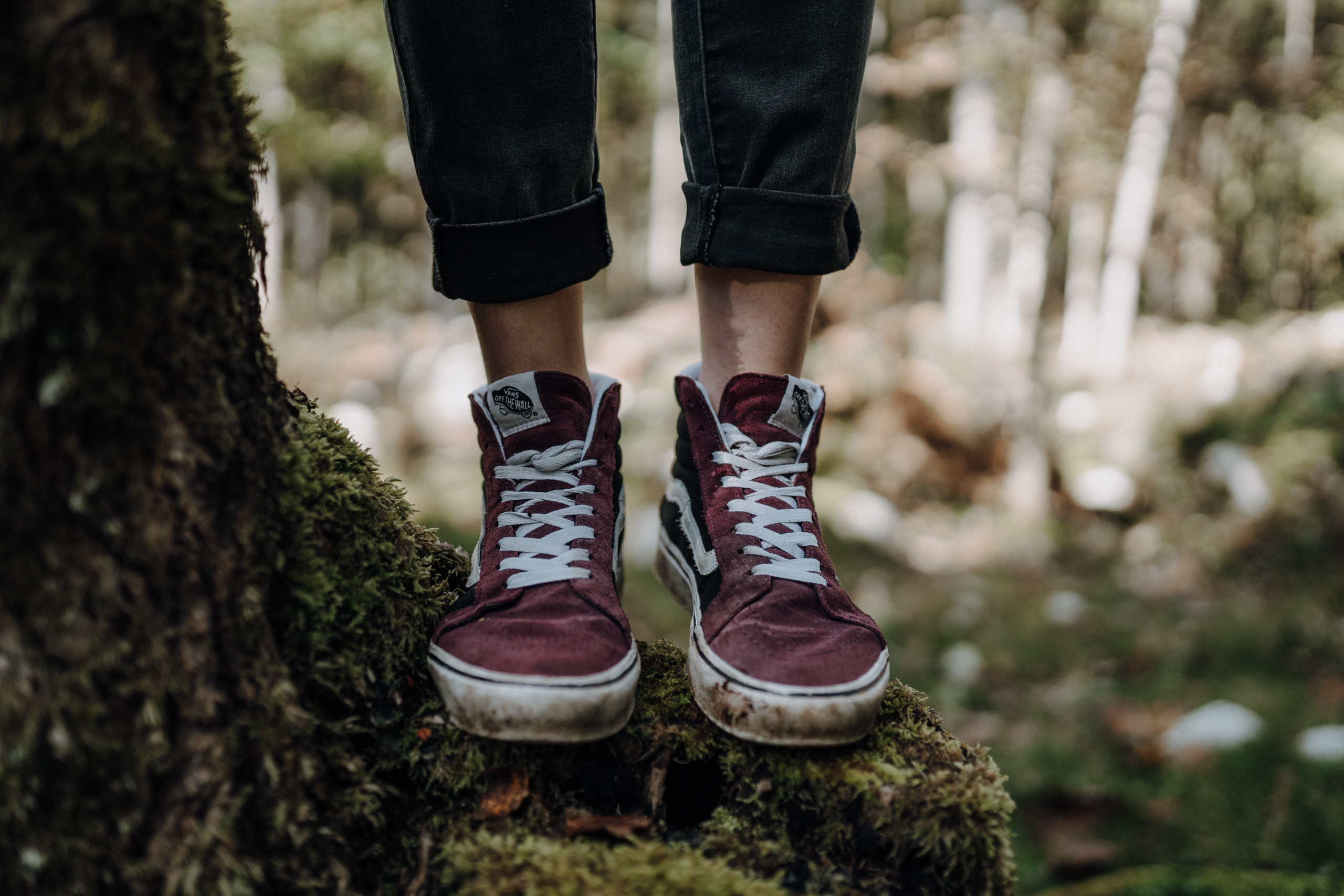 Auf dem Bild sind nur die weinroten Sneakers zu sehen von einer Person, die im Wald auf einem Baumstumpf steht.