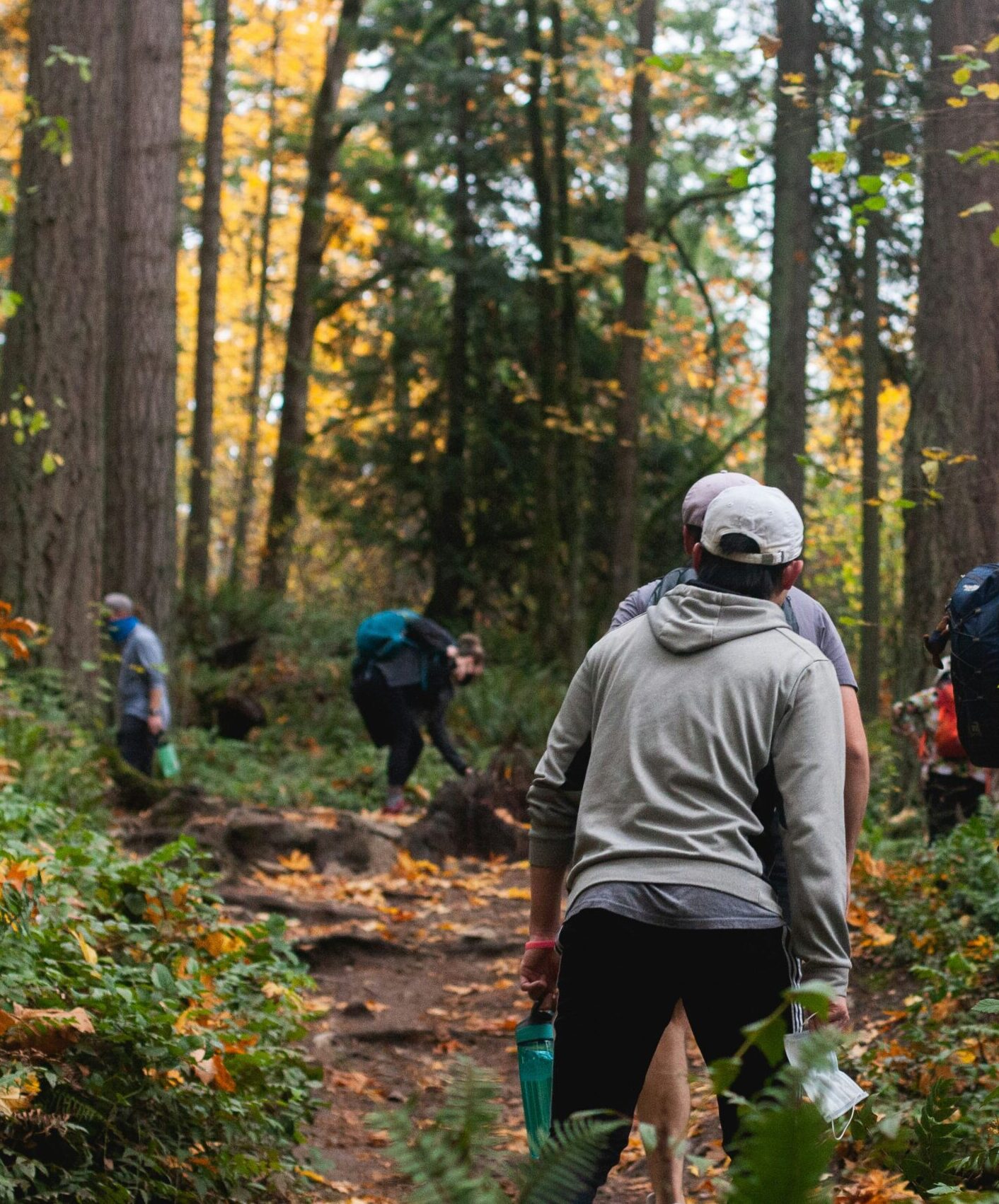 Mehrere Menschen von hinten in einem schönen Herbstwald