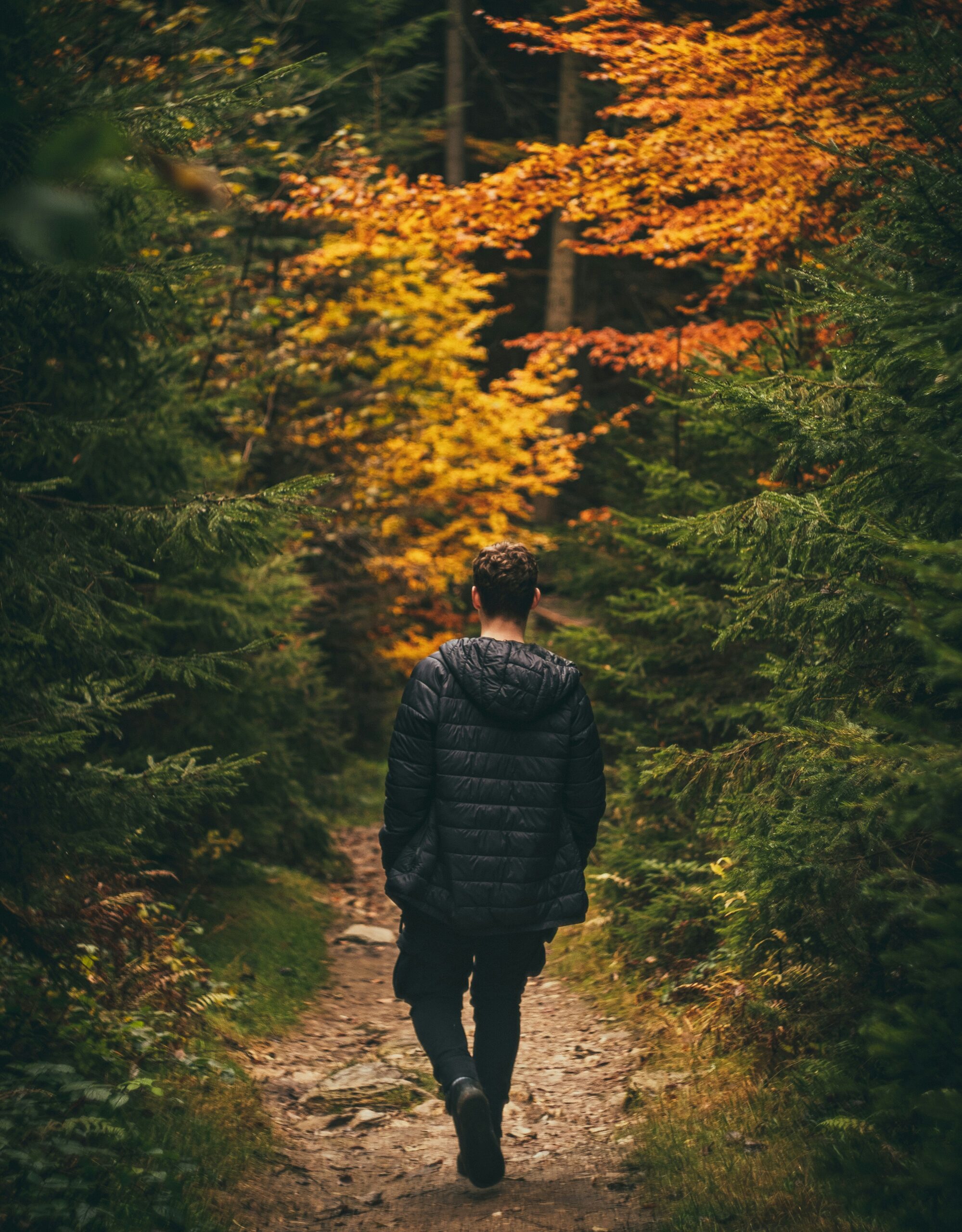 Mann von hinten im Herbstwald